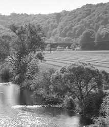Umfeld